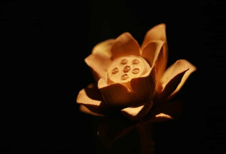 Ebanistería en Madrid